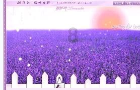 森迪穿越魔法学院